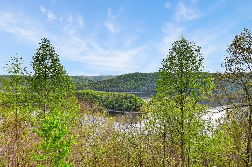 1853 Lafever Ridge Road Silver Point TN 38582