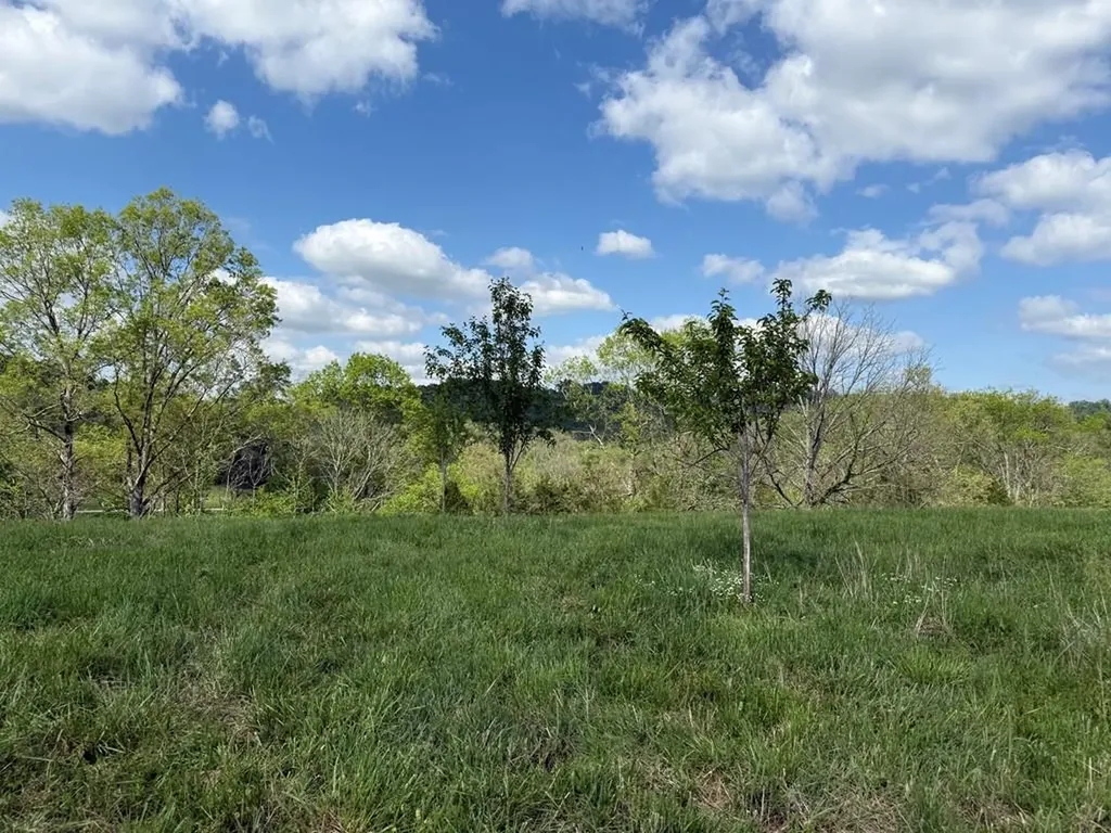 222 Cook Hollow Lane Pleasant Shade TN 37145