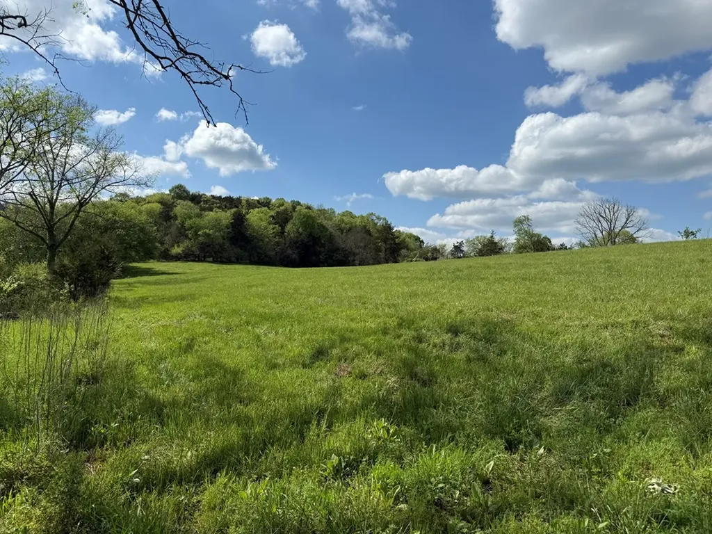 222 Cook Hollow Lane Pleasant Shade TN 37145