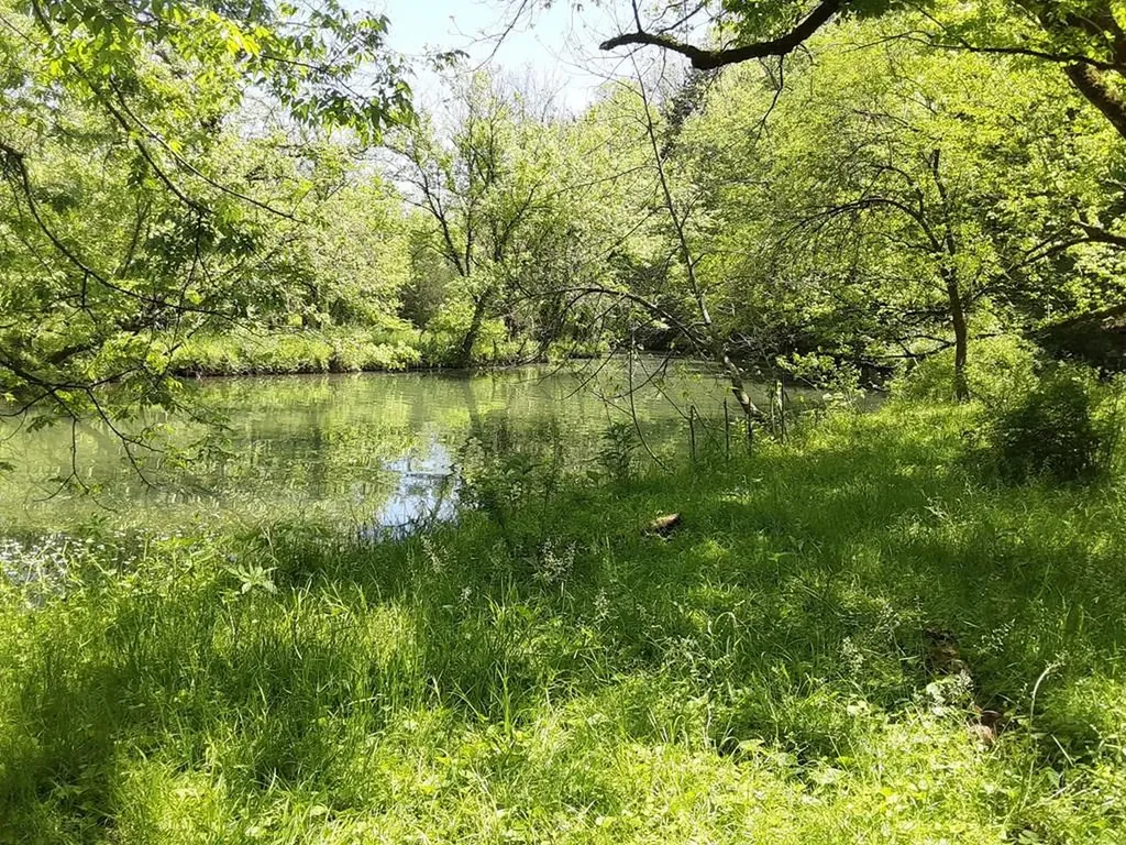 222 Cook Hollow Lane Pleasant Shade TN 37145