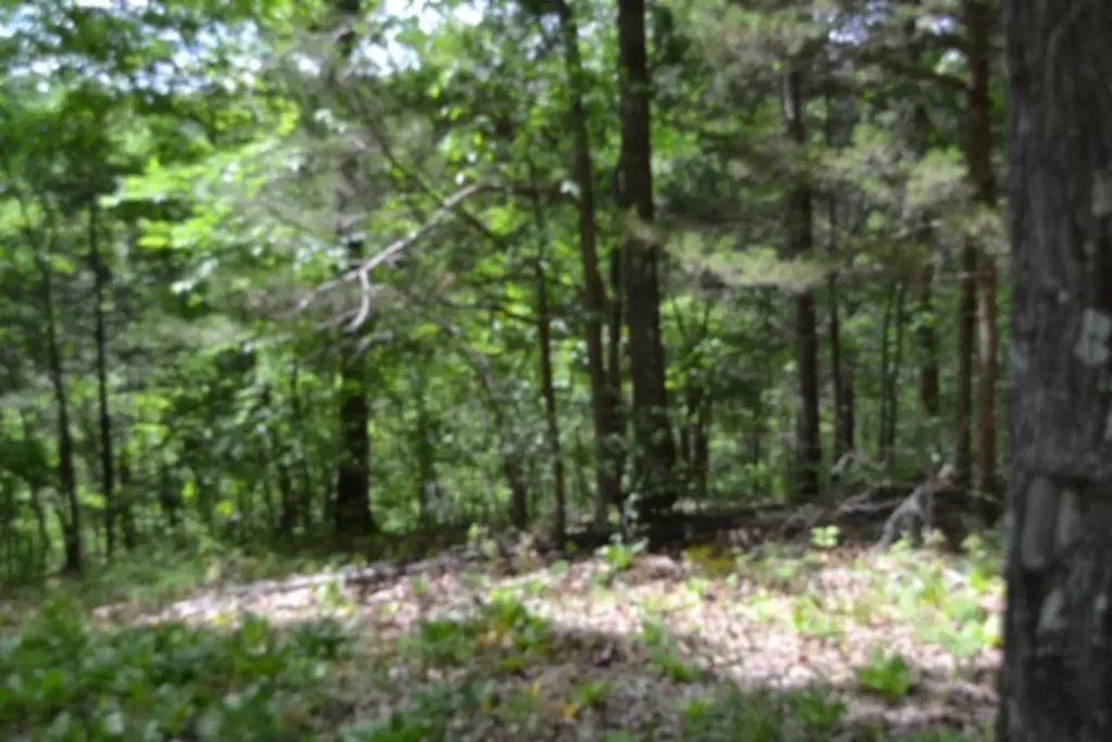 10.13AC Forest Trail Celina TN 38551
