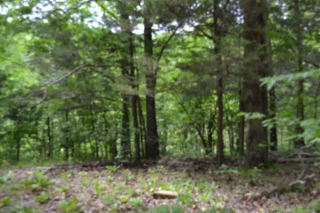 10.13AC Forest Trail Celina TN 38551