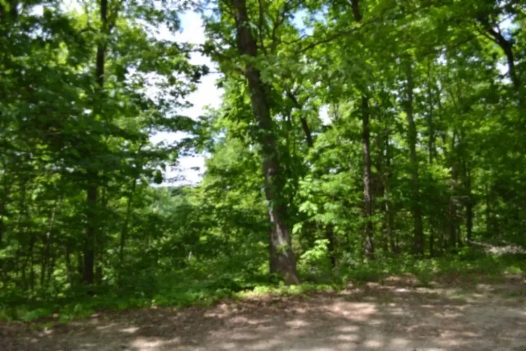 10.13AC Forest Trail Celina TN 38551