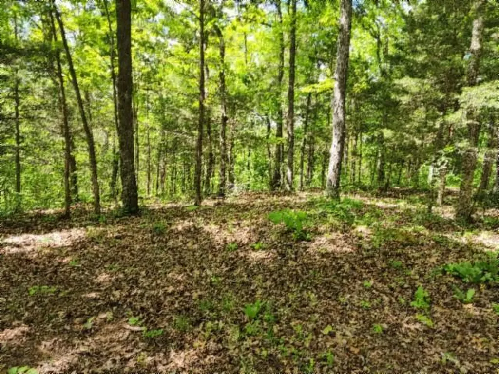10.13AC Forest Trail Celina TN 38551