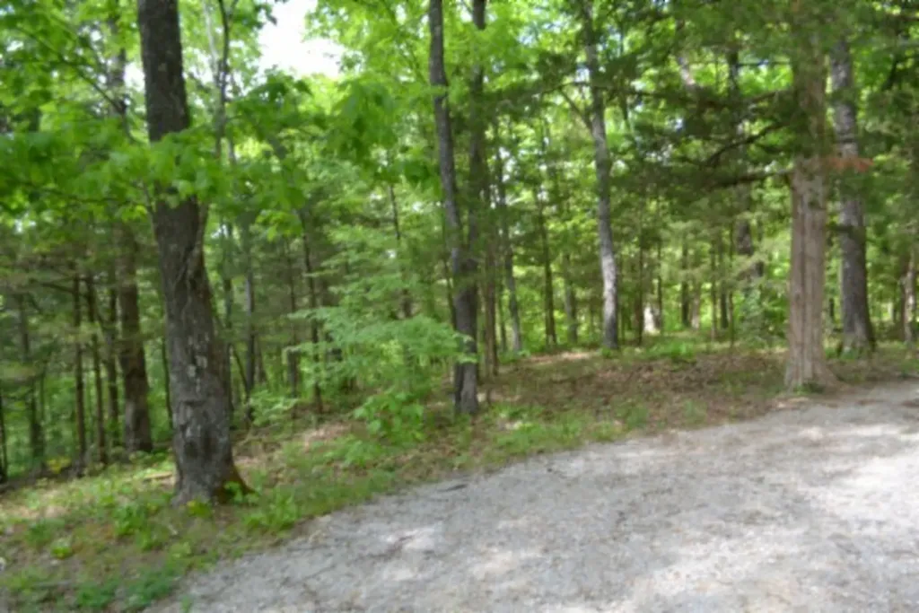 10.13AC Forest Trail Celina TN 38551