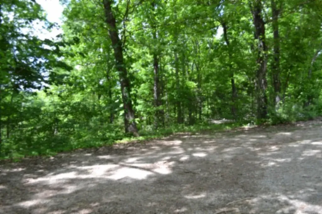 10.13AC Forest Trail Celina TN 38551