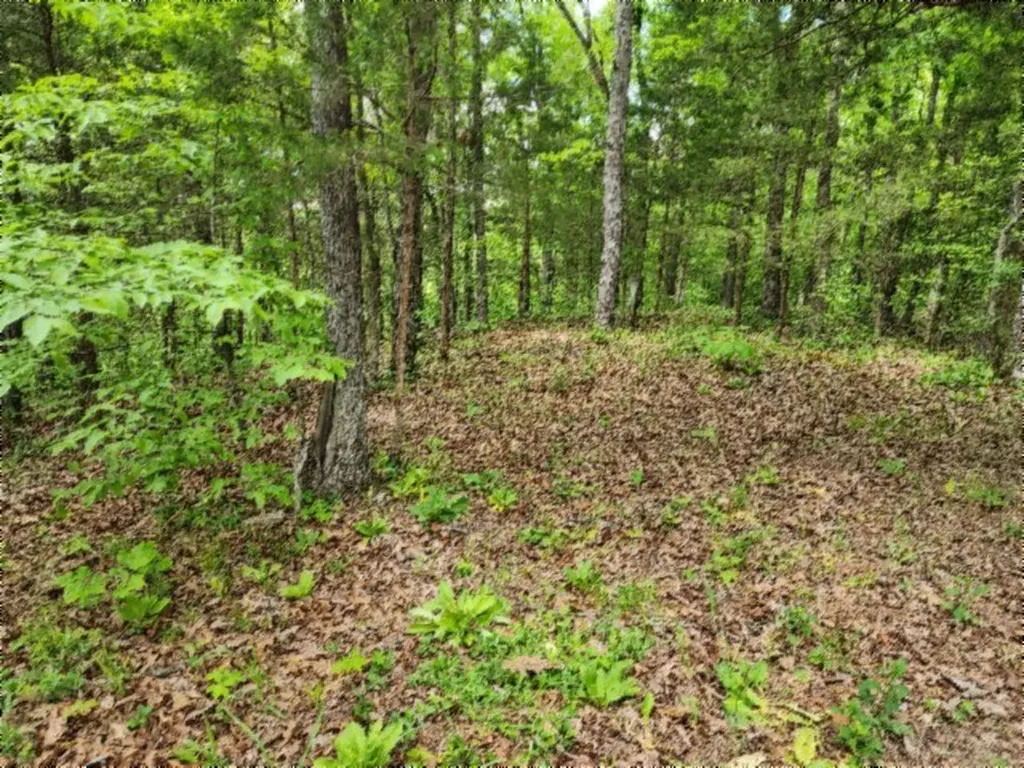 10.13AC Forest Trail Celina TN 38551
