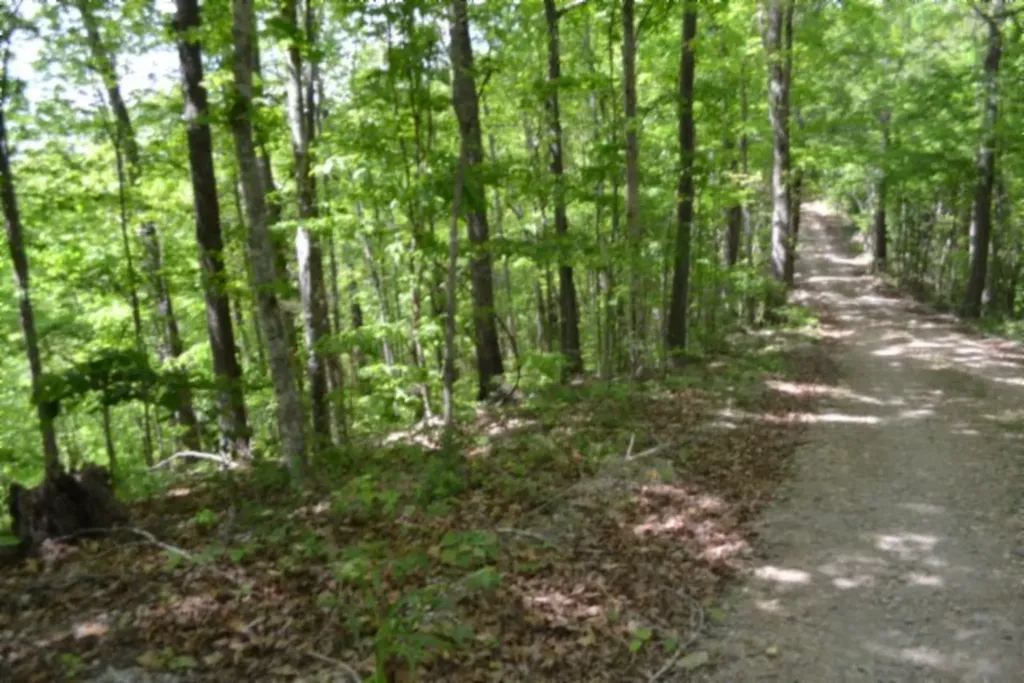 10.13AC Forest Trail Celina TN 38551