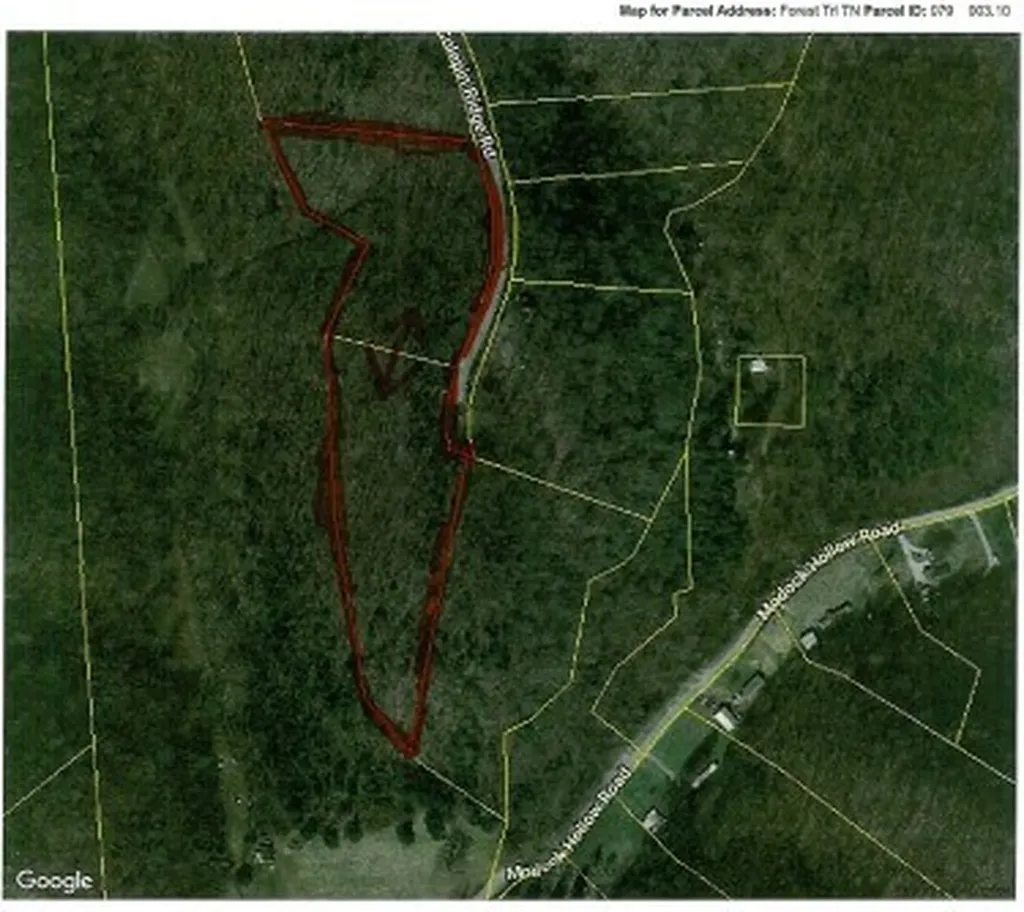 10.13AC Forest Trail Celina TN 38551