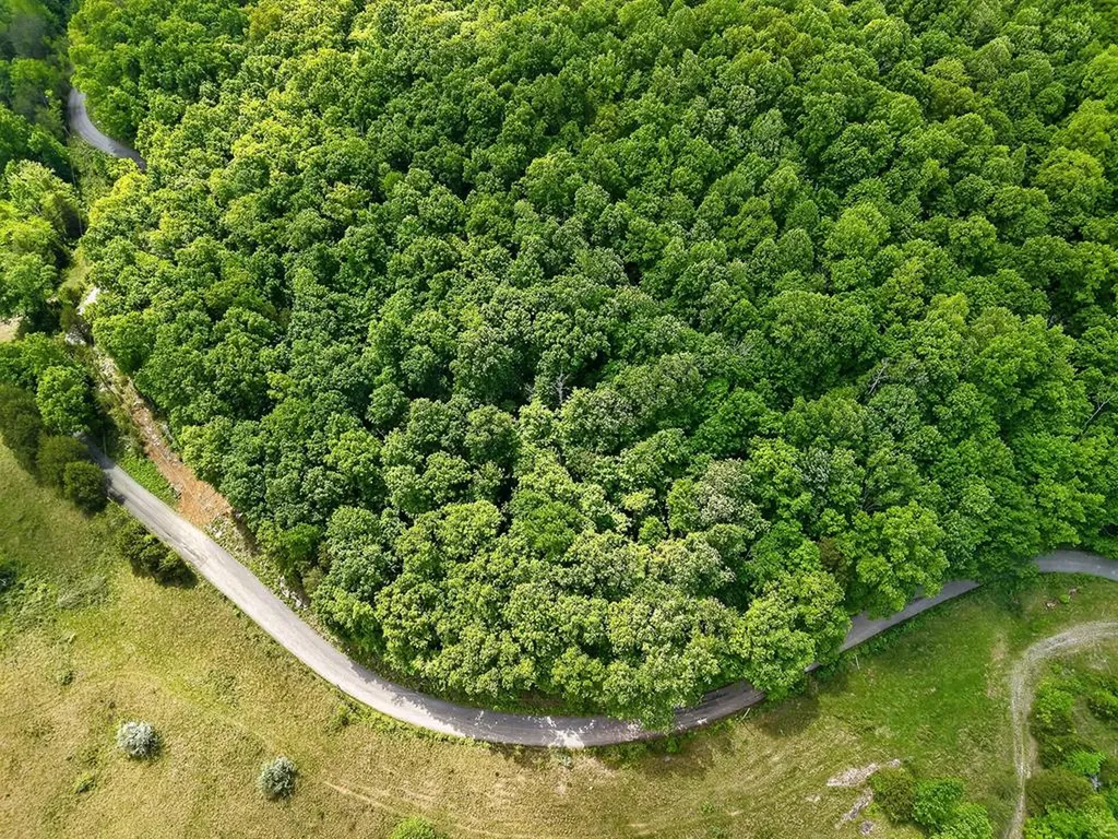 00 Sunk Cane Road Crawford TN 38554