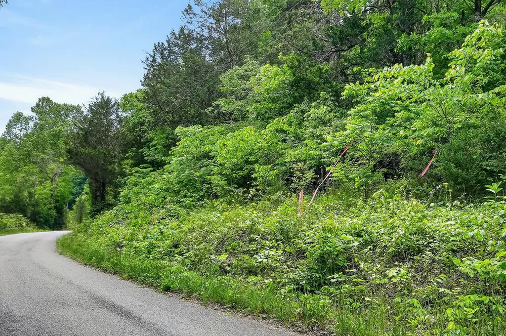 00 Sunk Cane Road Crawford TN 38554
