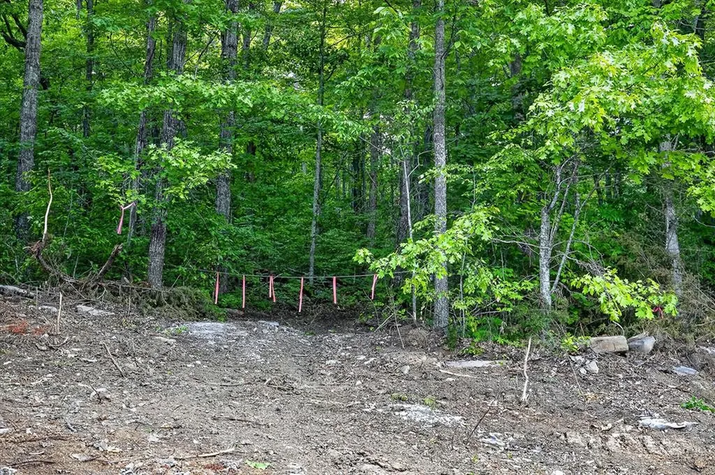 00 Sunk Cane Road Crawford TN 38554