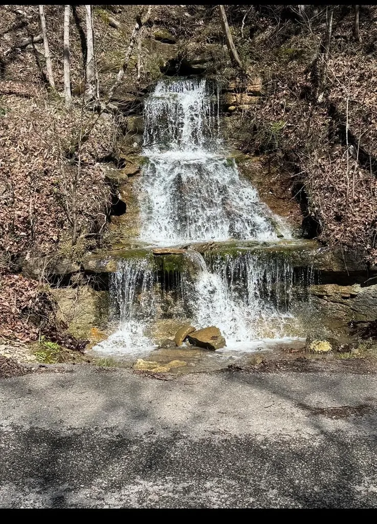 00 Sunk Cane Road Crawford TN 38554