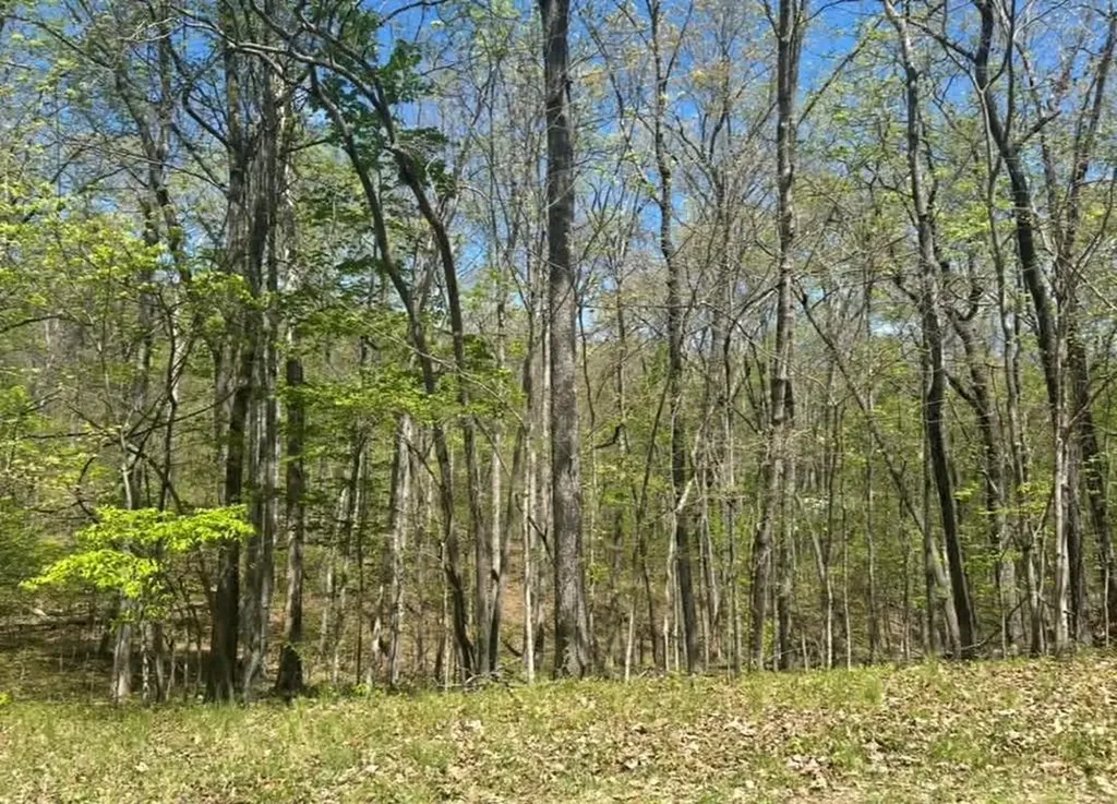 - Dublin Lane Lot #112 Crossville TN 38558