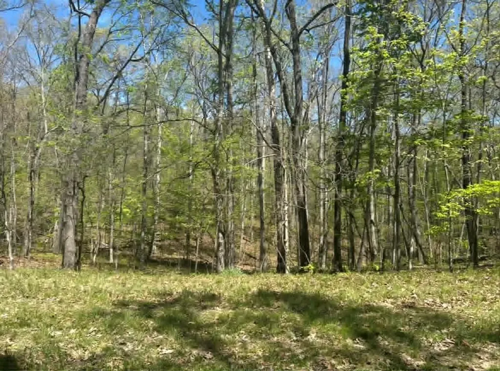- Darwin Ln., Lot #120 Crossville TN 38558