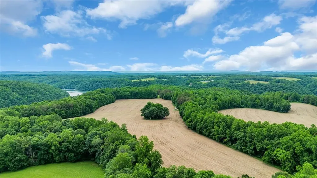 379 Young Green Road Smithville TN 37166