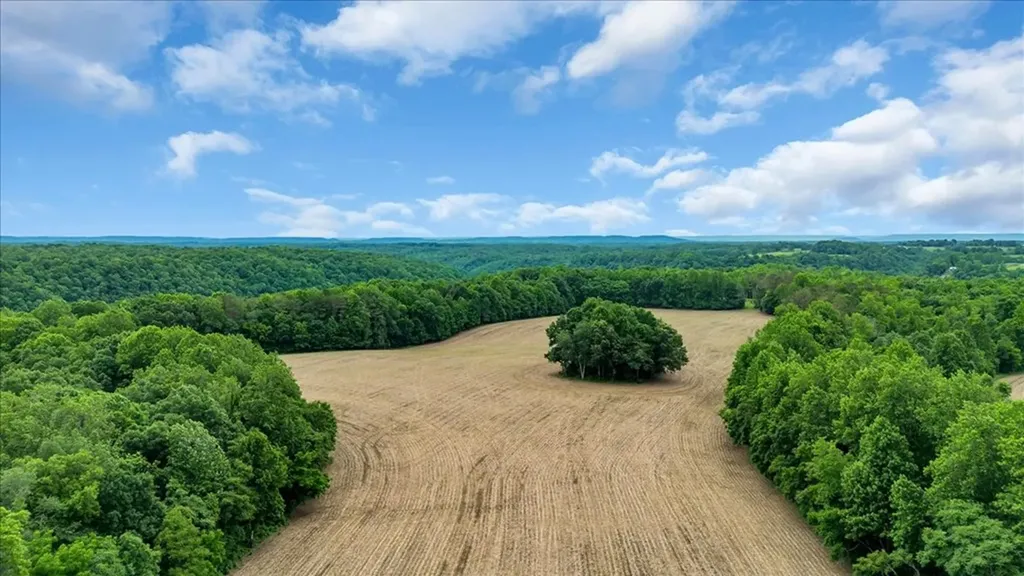 379 Young Green Road Smithville TN 37166
