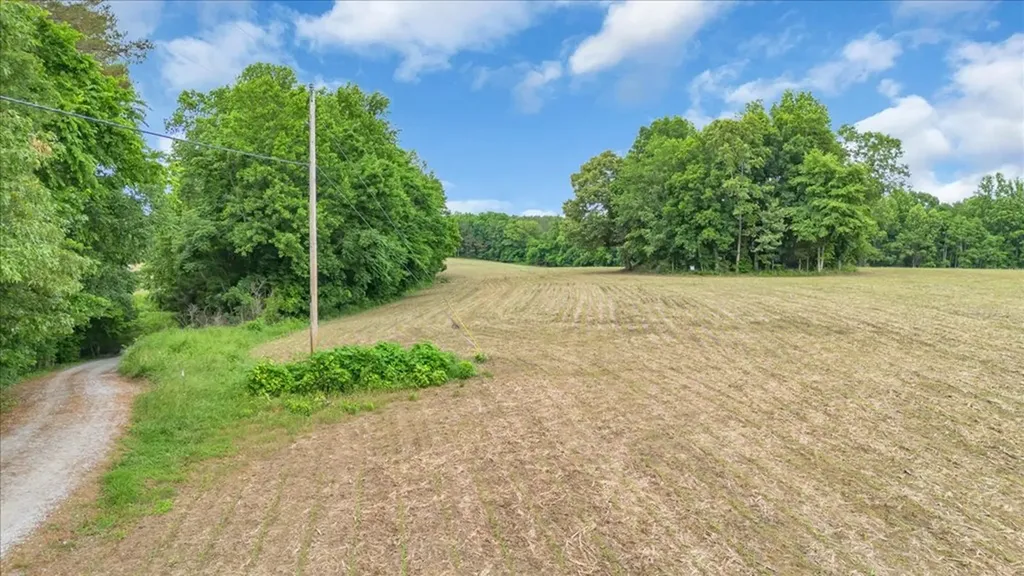 379 Young Green Road Smithville TN 37166