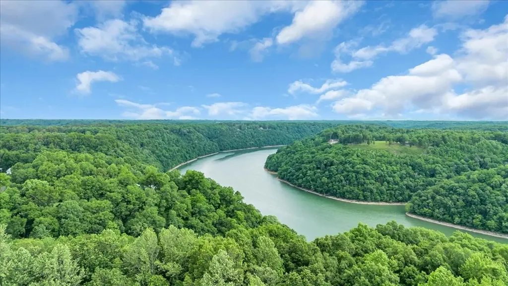 379 Young Green Road Smithville TN 37166