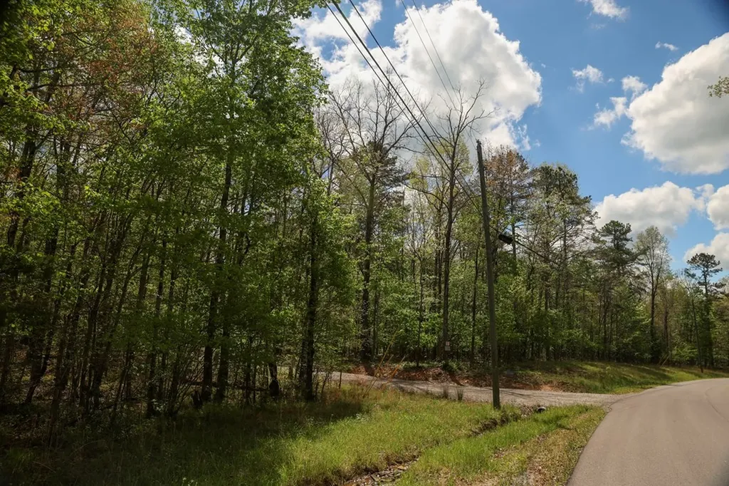 1913 Indian Park Road Monterey TN 38574