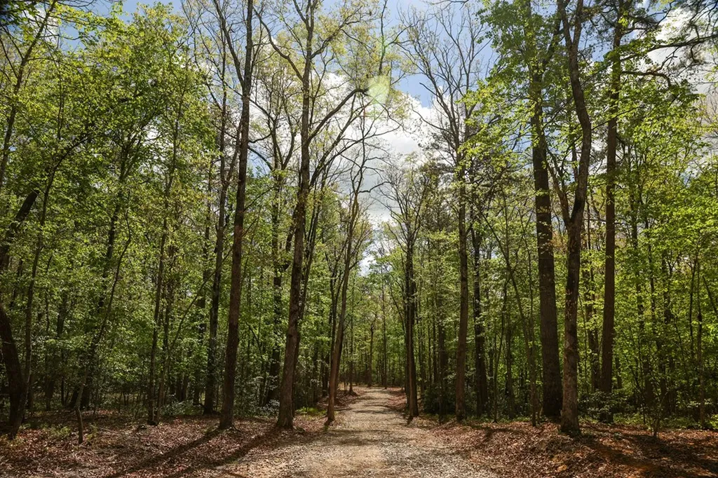 1913 Indian Park Road Monterey TN 38574