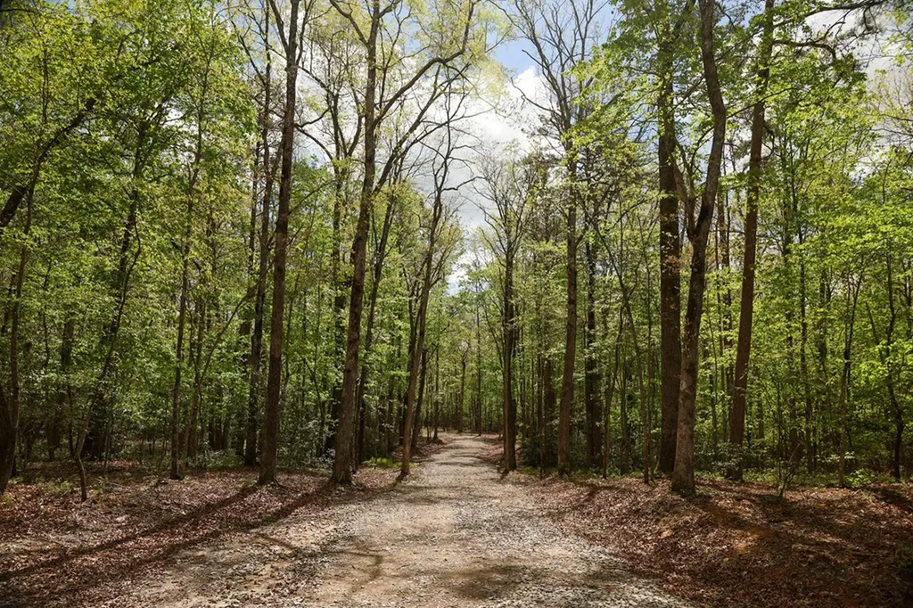 1913 Indian Park Road Monterey TN 38574