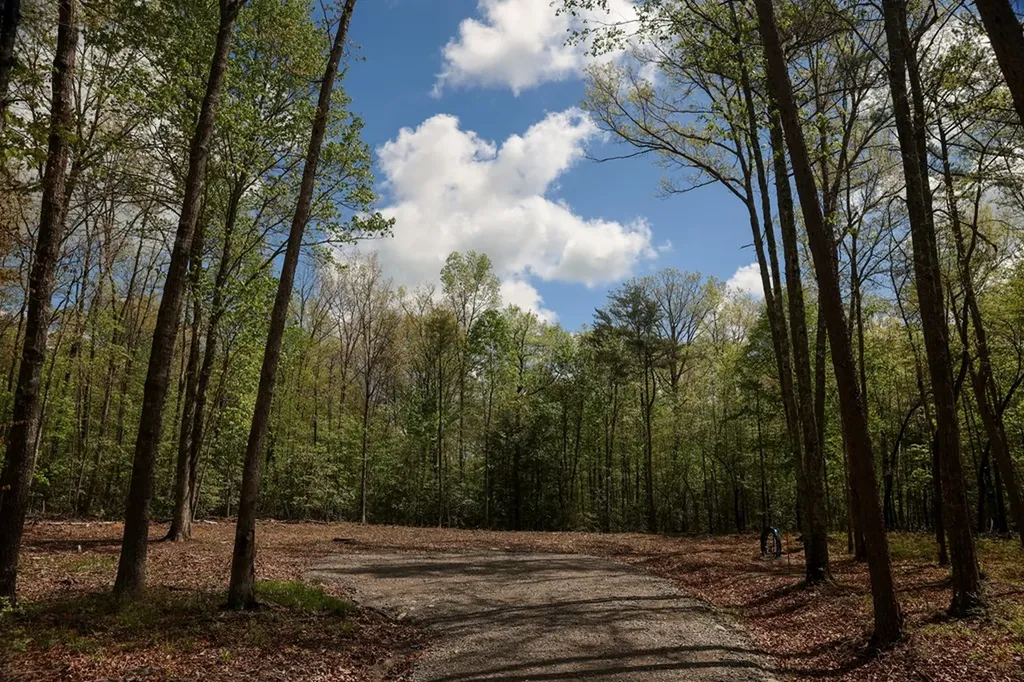 1913 Indian Park Road Monterey TN 38574
