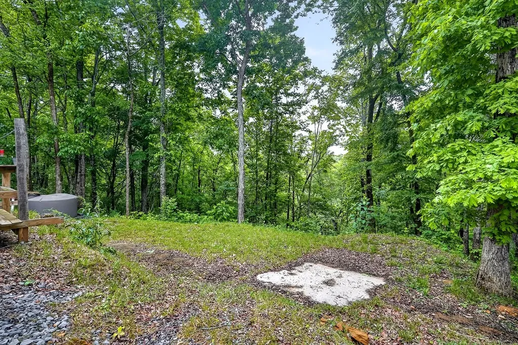 853 Rock Springs Road Celina TN 38551