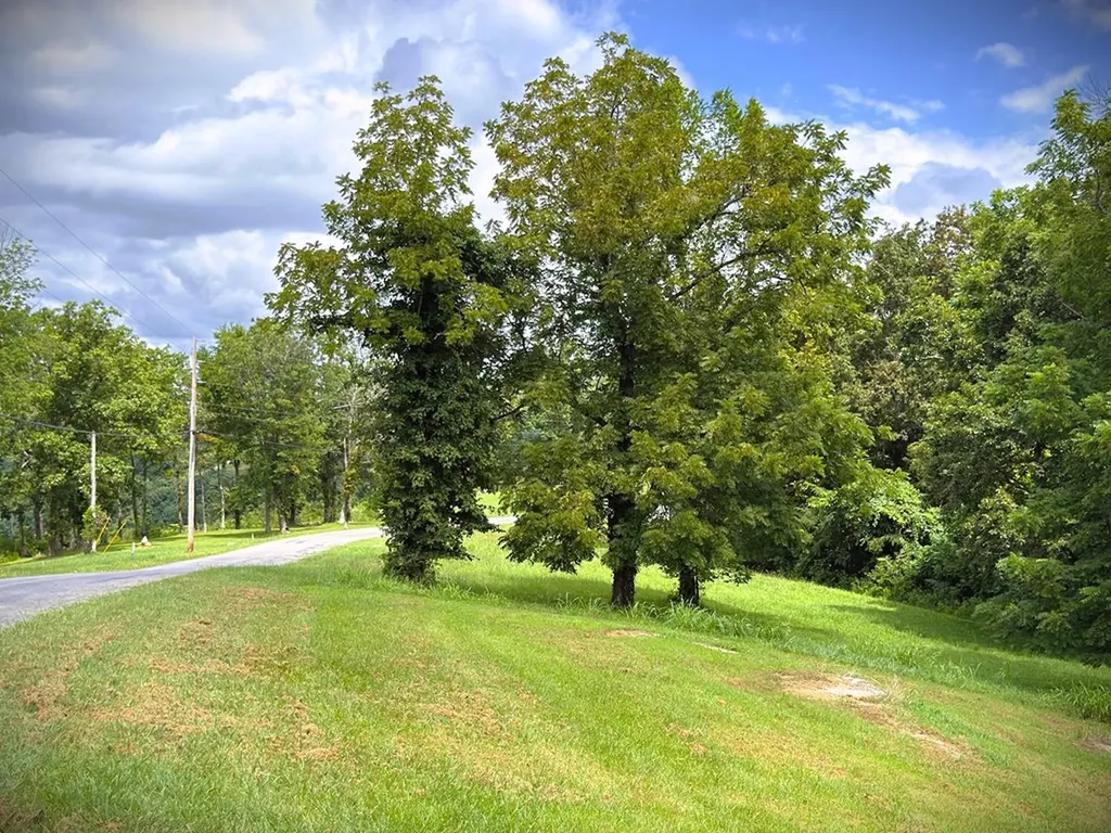 15C Swan Ridge Road Hilham TN 38568