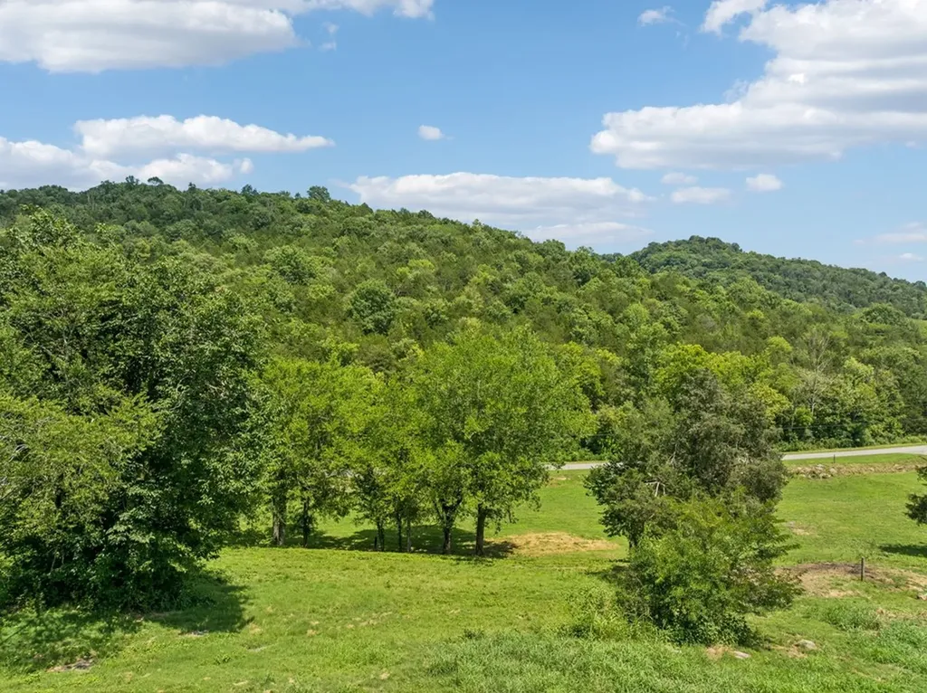 0 Club Springs Road, Lots 1 & 2 Elmwood TN 38560