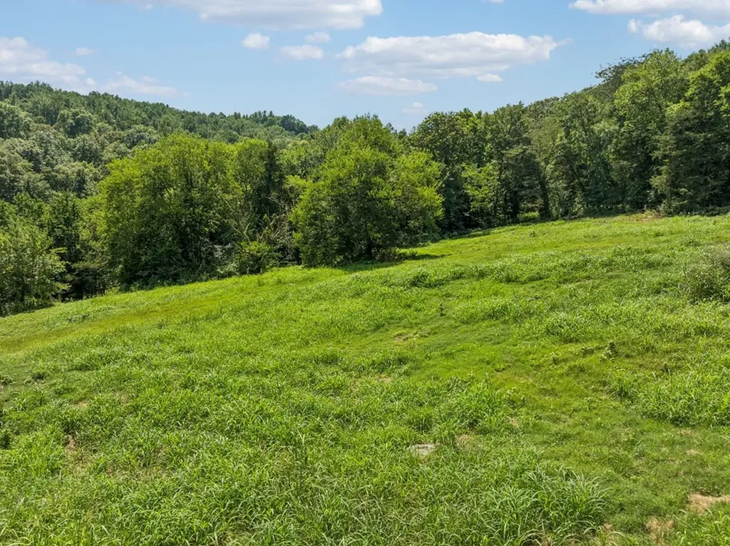 0 Club Springs Road, Lots 1 & 2 Elmwood TN 38560