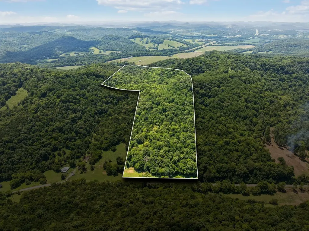 0 Club Springs Road, Lots 1 & 2 Elmwood TN 38560