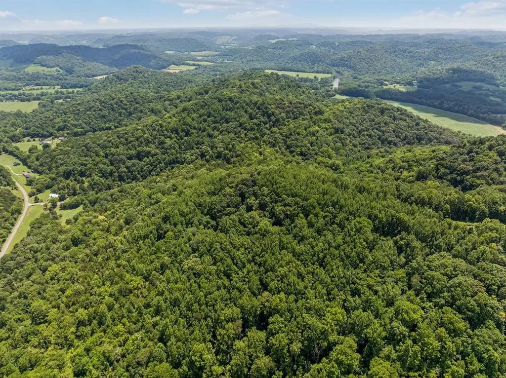 0 Club Springs Road, Lots 1 & 2 Elmwood TN 38560