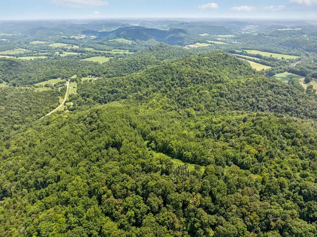 0 Club Springs Road, Lots 1 & 2 Elmwood TN 38560