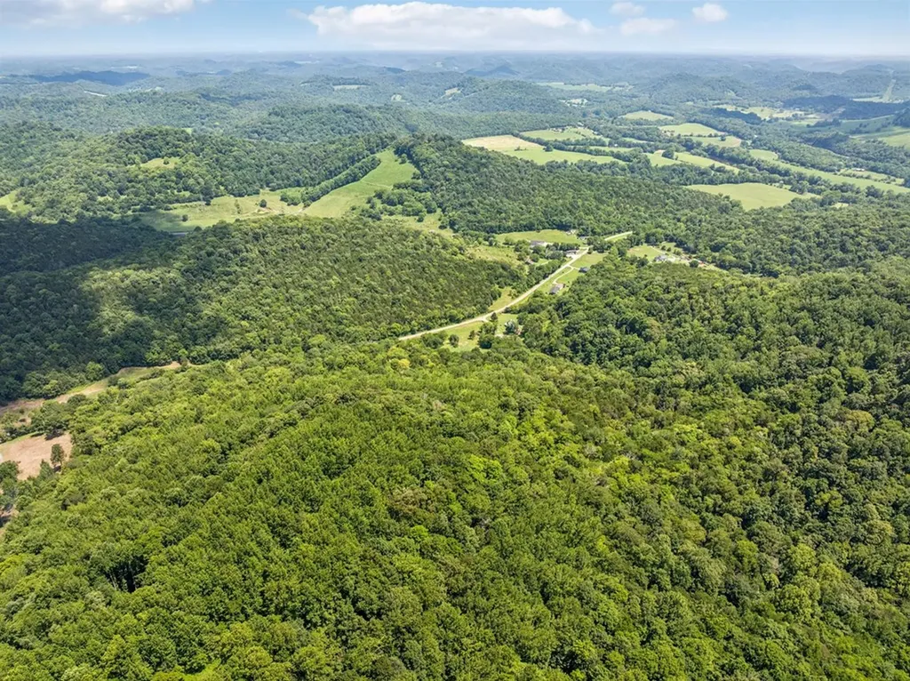 0 Club Springs Road, Lots 1 & 2 Elmwood TN 38560