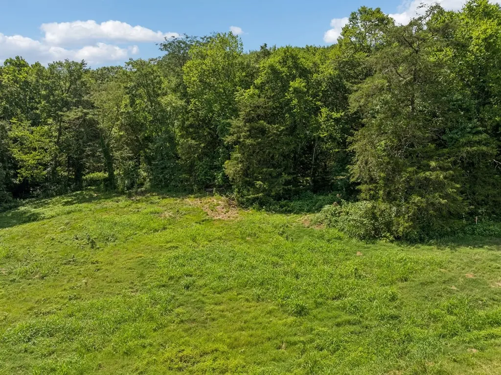 0 Club Springs Road, Lots 1 & 2 Elmwood TN 38560
