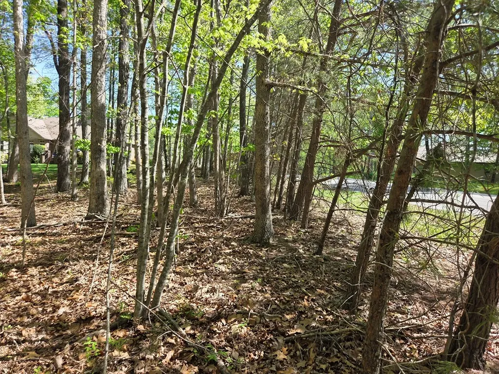 375 Rotherham Drive Crossville TN 38558