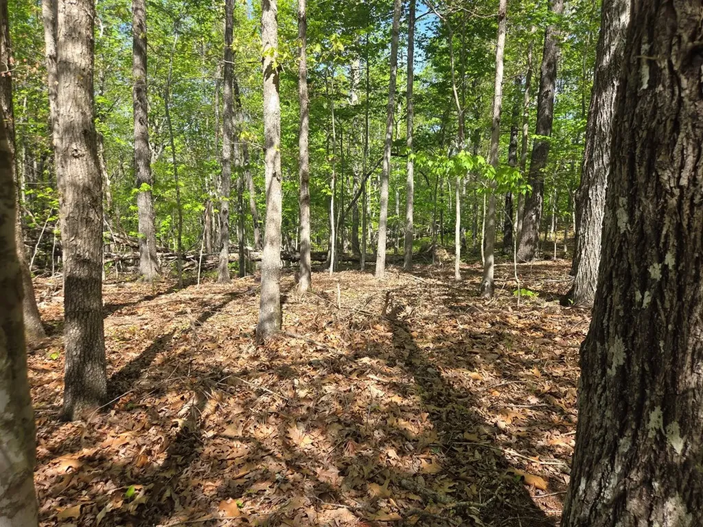 375 Rotherham Drive Crossville TN 38558