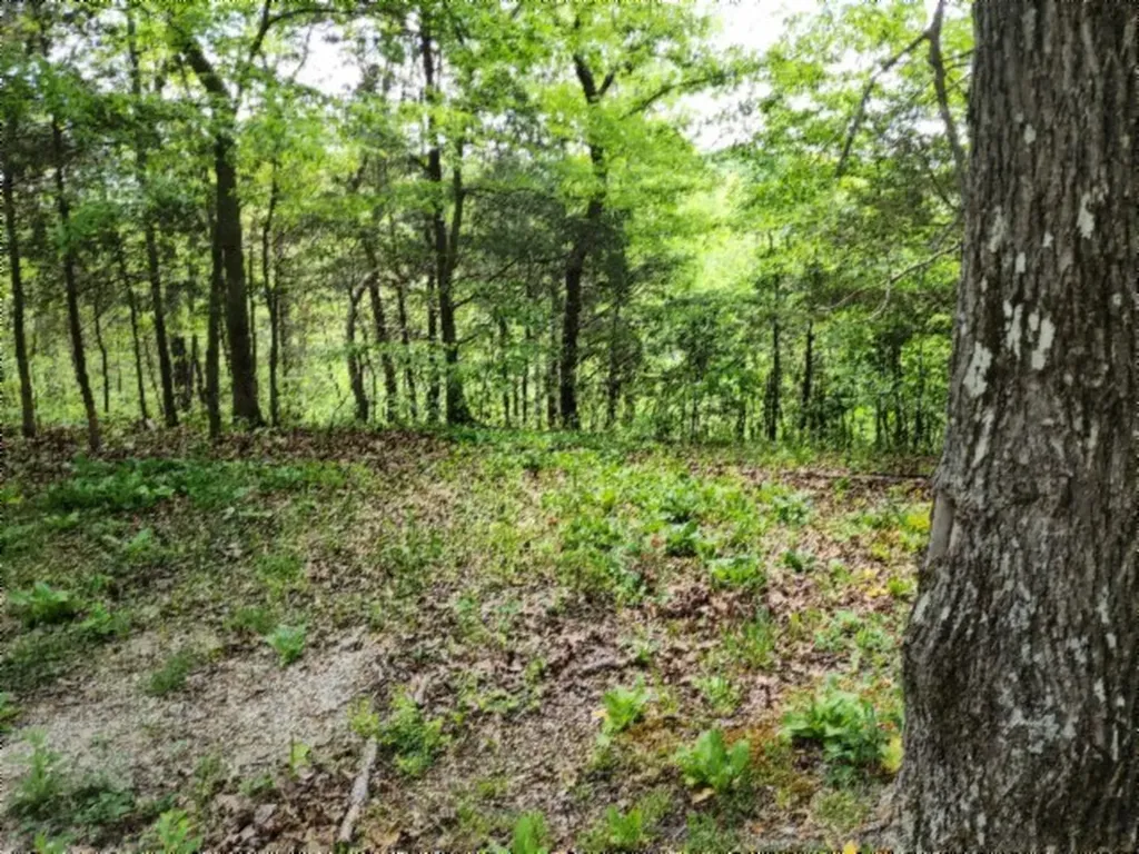 Lot 6 Forest Trails Lane Celina TN 38551