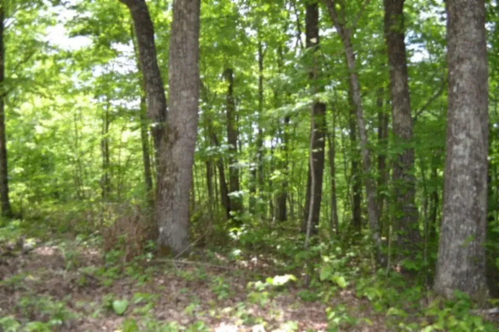 Lot 6 Forest Trails Lane Celina TN 38551