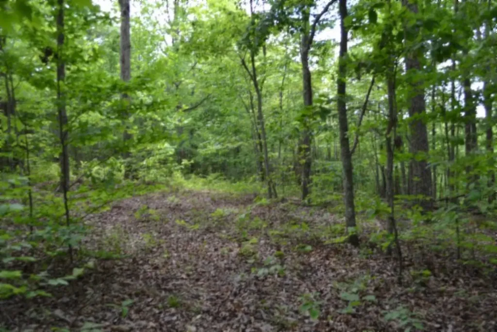 Lot 6 Forest Trails Lane Celina TN 38551