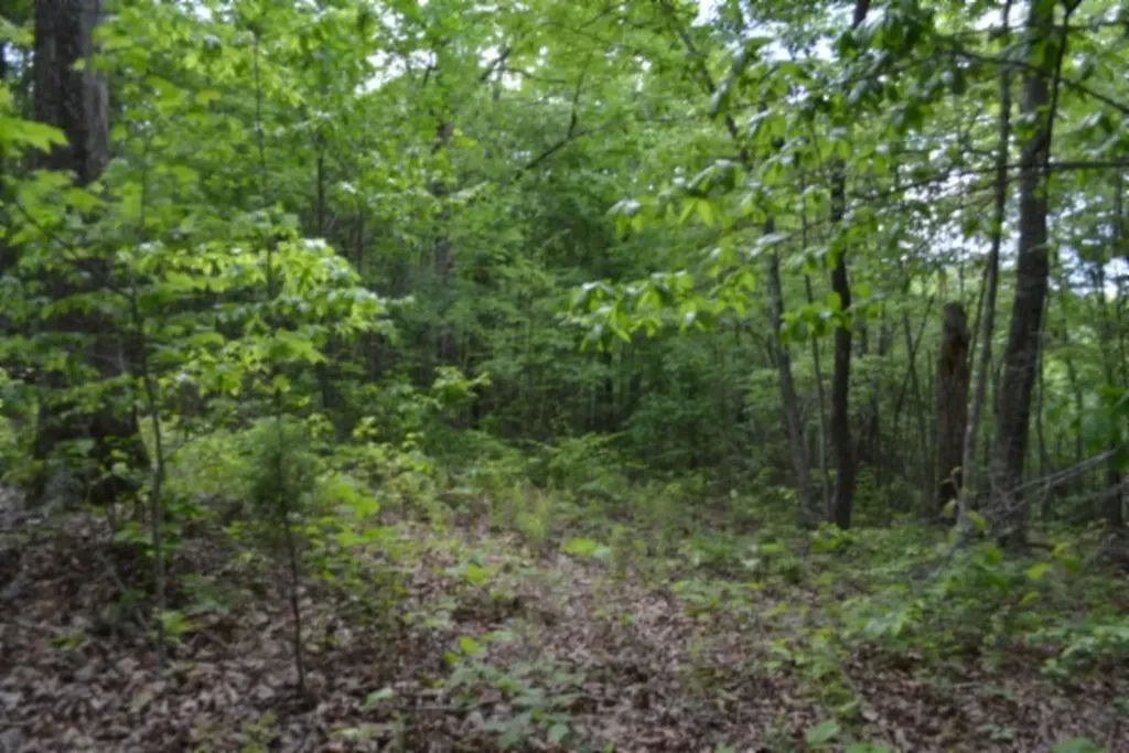 Lot 6 Forest Trails Lane Celina TN 38551