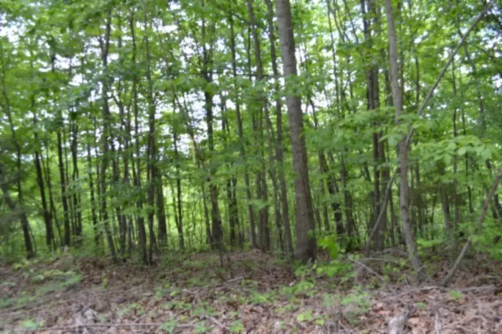Lot 6 Forest Trails Lane Celina TN 38551