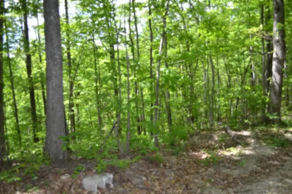 Lot 6 Forest Trails Lane Celina TN 38551