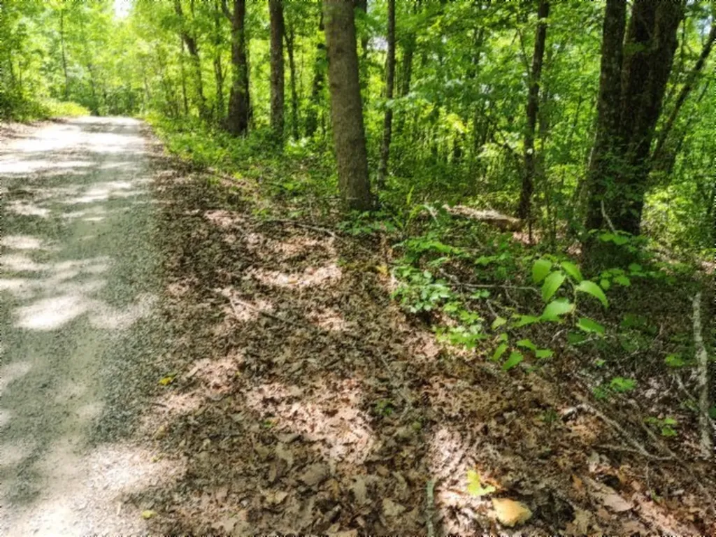 Lot 6 Forest Trails Lane Celina TN 38551