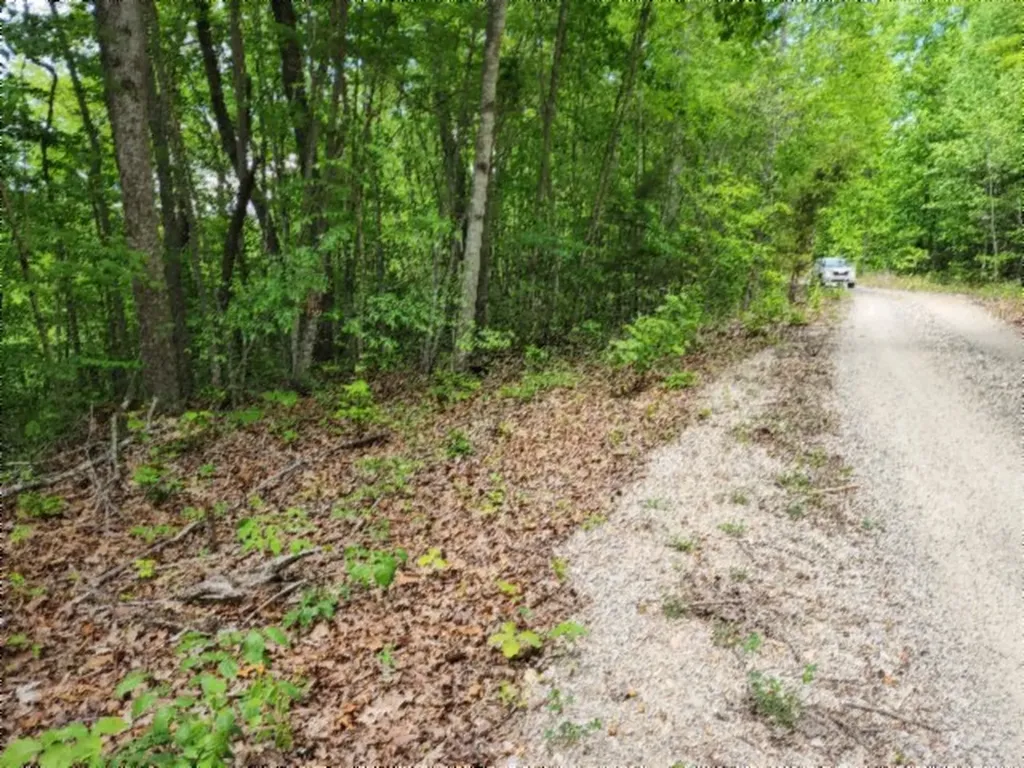 Lot 6 Forest Trails Lane Celina TN 38551