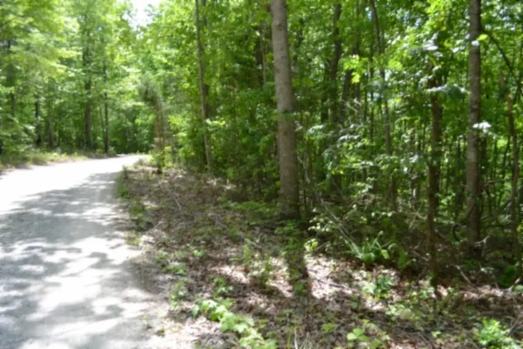 Lot 6 Forest Trails Lane Celina TN 38551