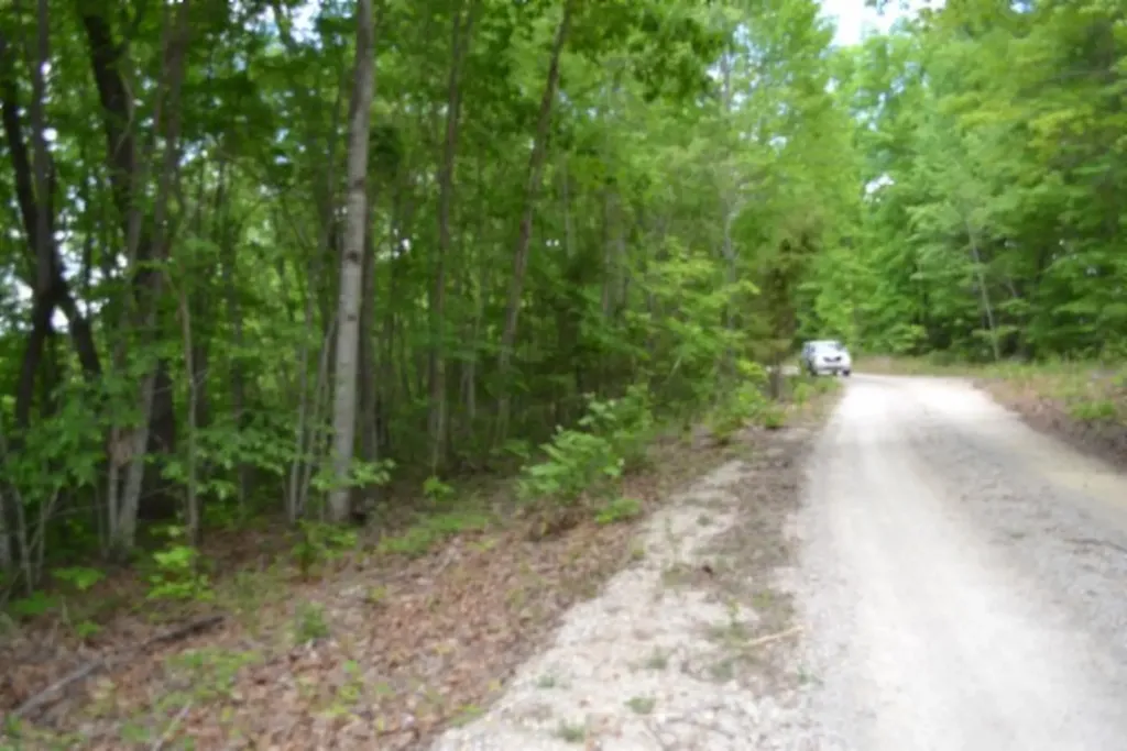 Lot 6 Forest Trails Lane Celina TN 38551
