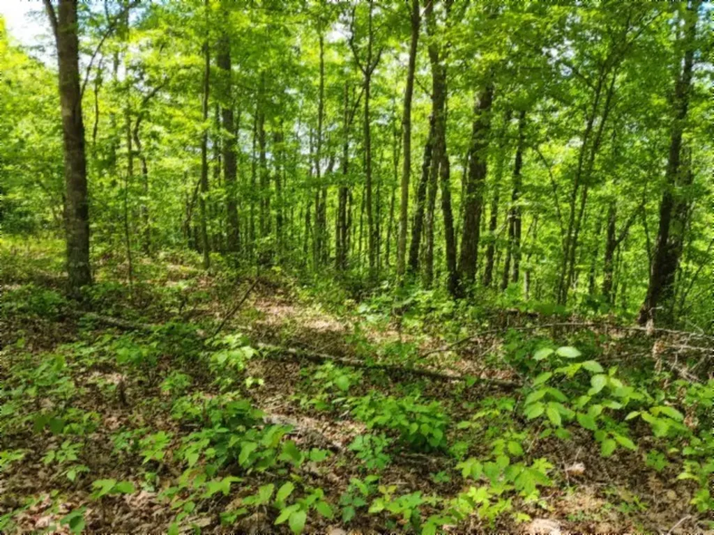 Lot 6 Forest Trails Lane Celina TN 38551