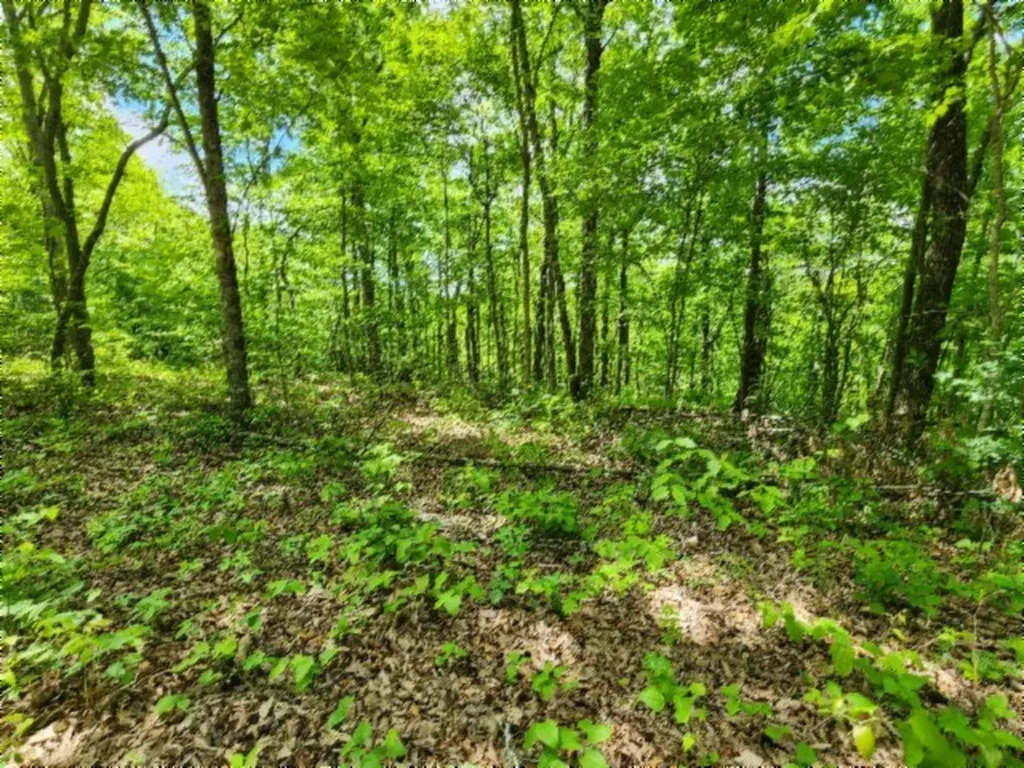 Lot 6 Forest Trails Lane Celina TN 38551
